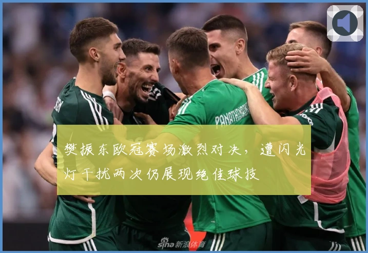 樊振东欧冠赛场激烈对决，遭闪光灯干扰两次仍展现绝佳球技